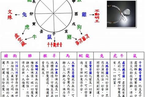 如何計算自己五行|八字計算器：改運必備